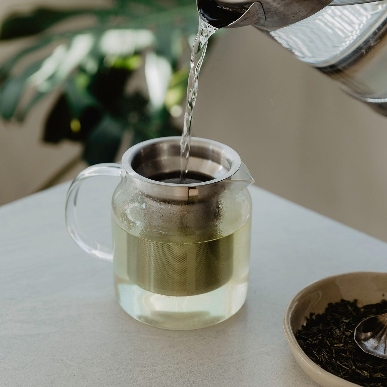 Teapot of sencha tea.