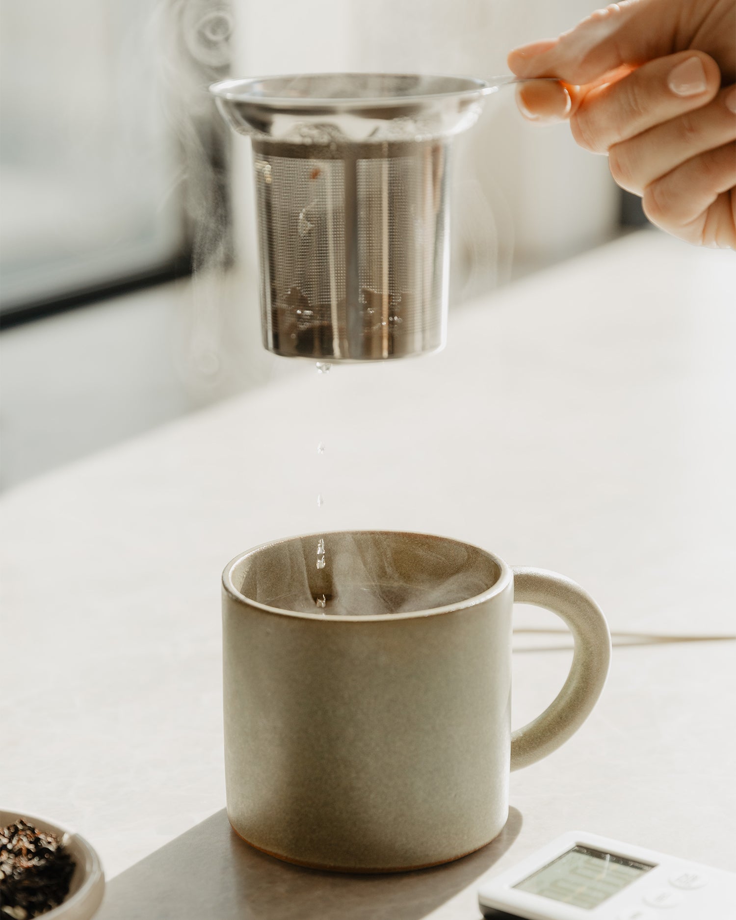 Infuser brewing Webster's Tea