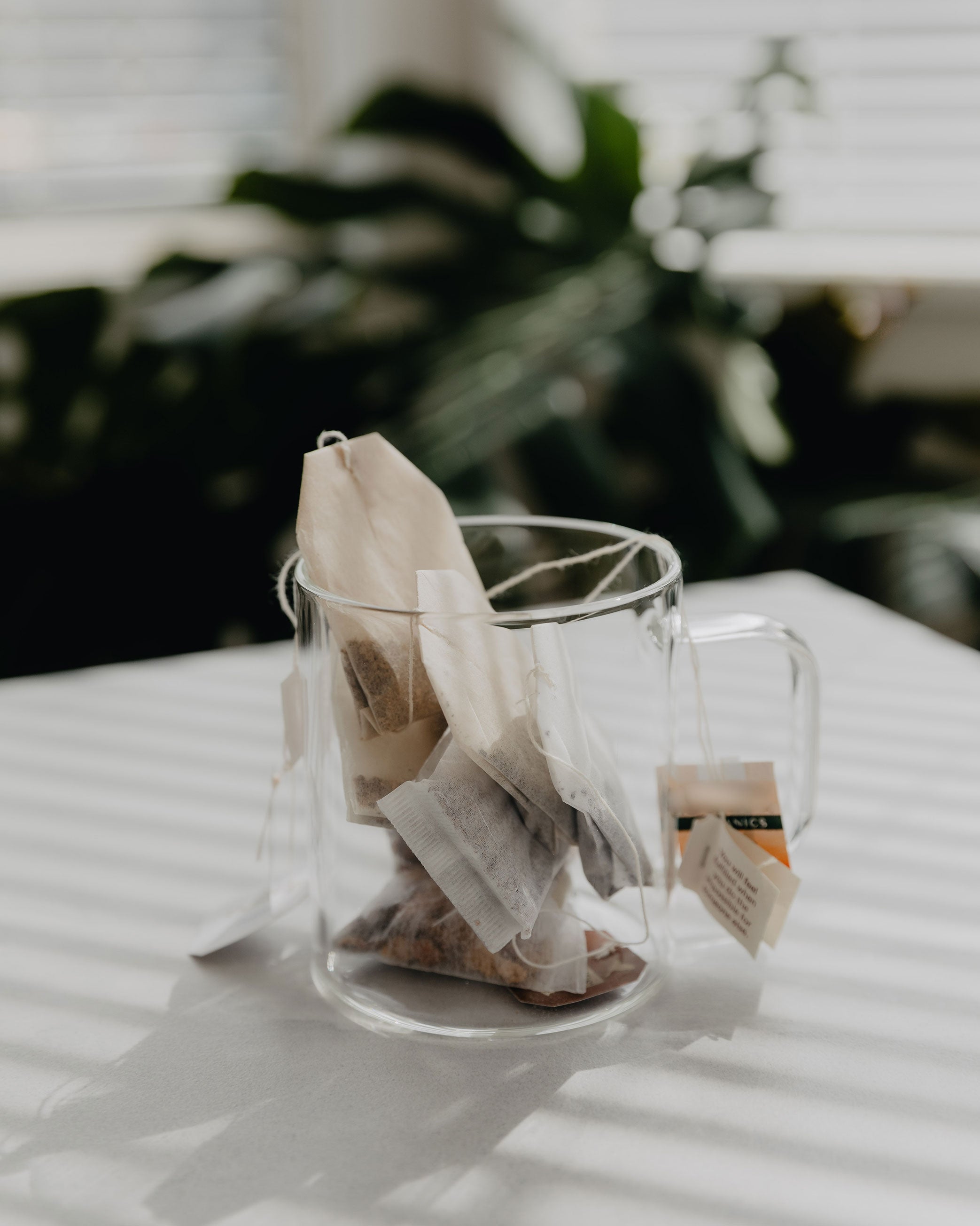 What Are Tea Bags Made Of Webster s Tea what-are-tea-bags-made-of-webster-s-tea