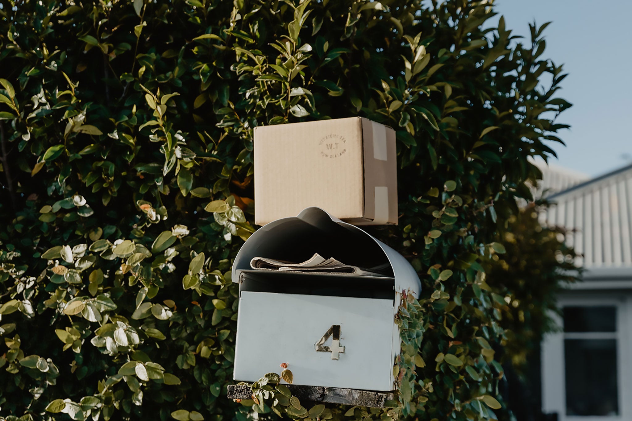 Tea delivery on a letterbox