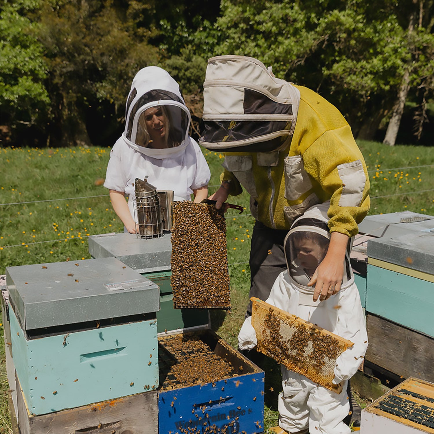 Woodgrain Bees Pure Honey